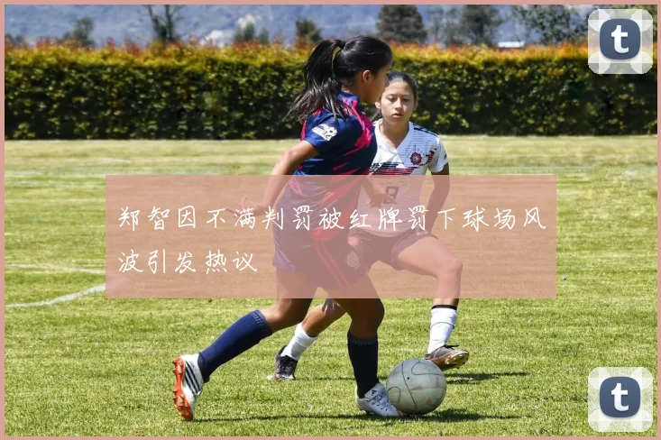 郑智因不满判罚被红牌罚下球场风波引发热议