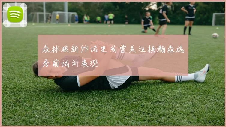 森林狼新帅诺里或曾关注杨瀚森选秀前试训表现