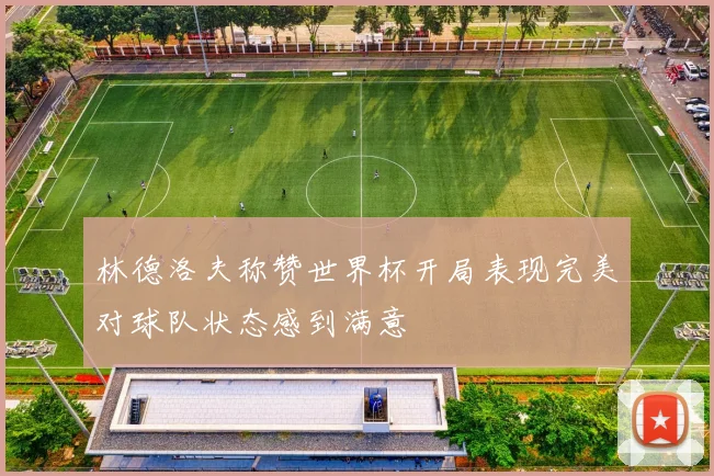 林德洛夫称赞世界杯开局表现完美对球队状态感到满意